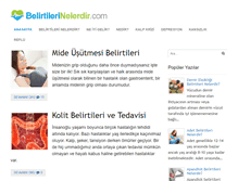 Tablet Screenshot of belirtilerinelerdir.com